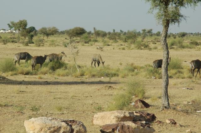 Urlaub in Indien 2016